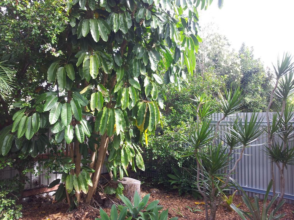 Bluegrass Bnb Bundaberg Zewnętrze zdjęcie